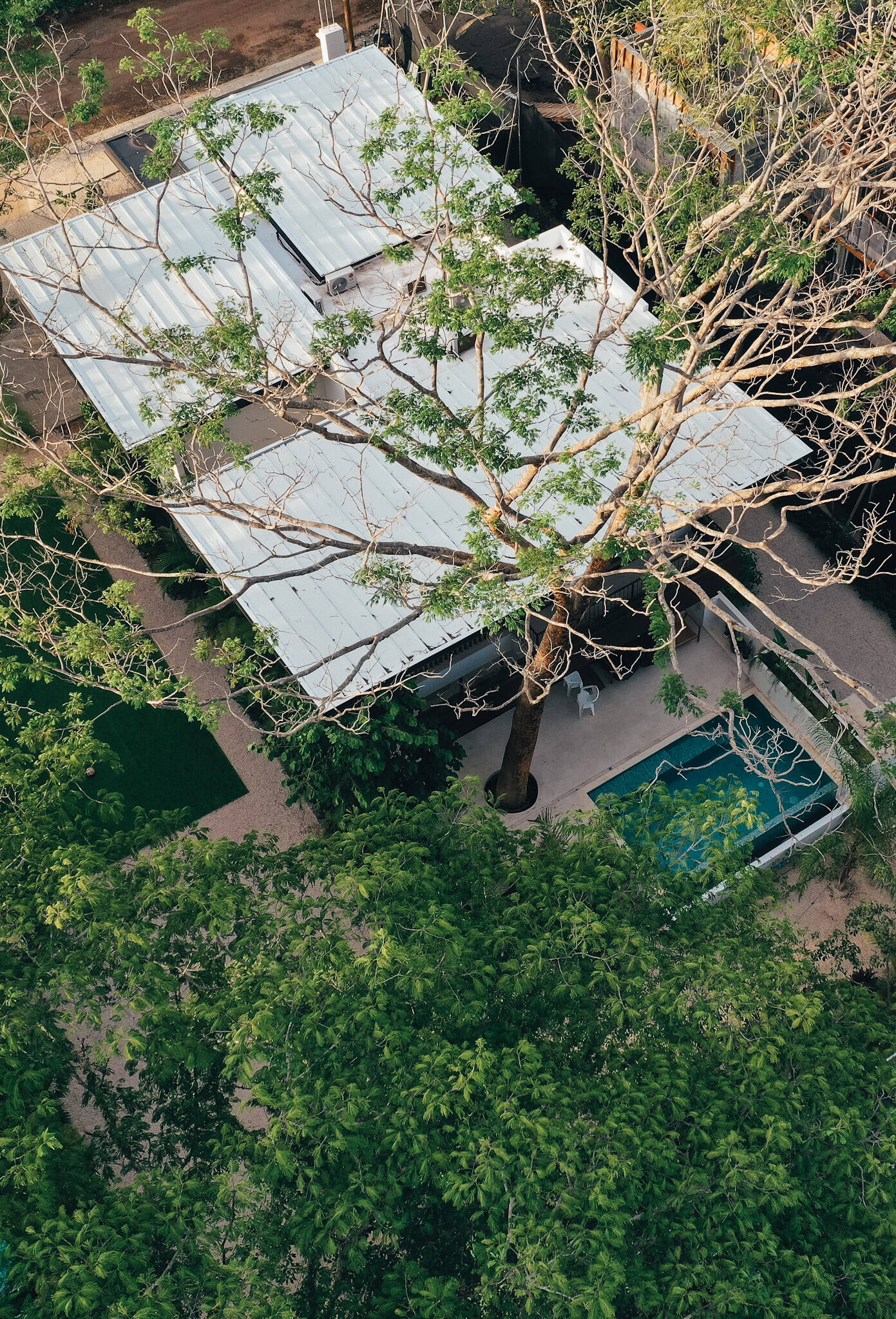 Grande Salvaje — aerial view showing a home and the mature tree it was built around