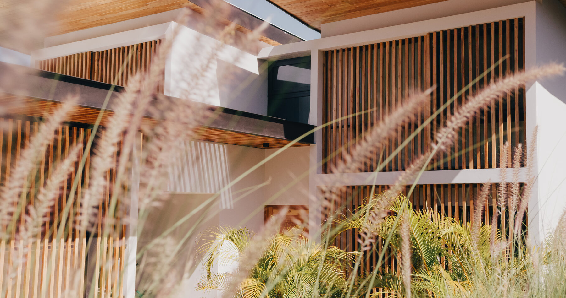 Facade through grasses