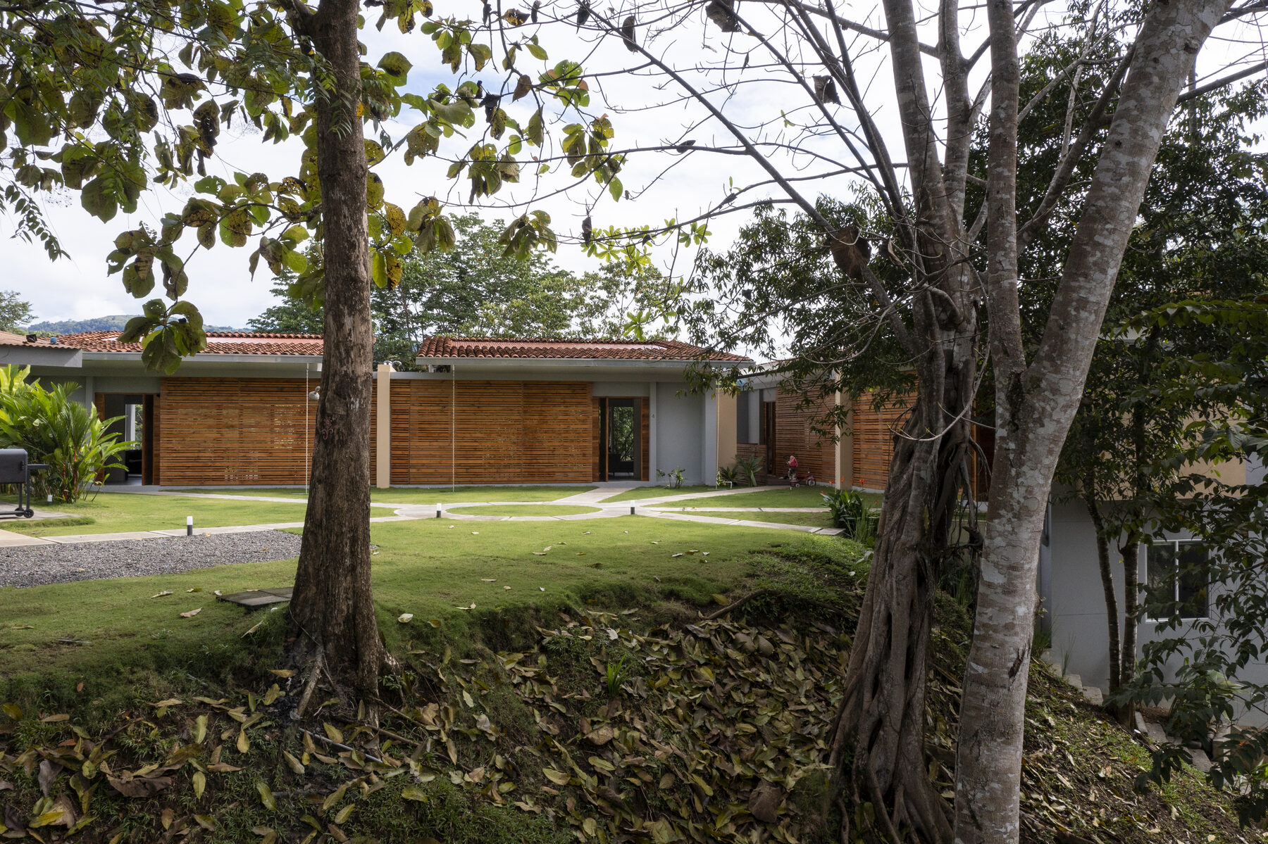 Courtyard with mature tree