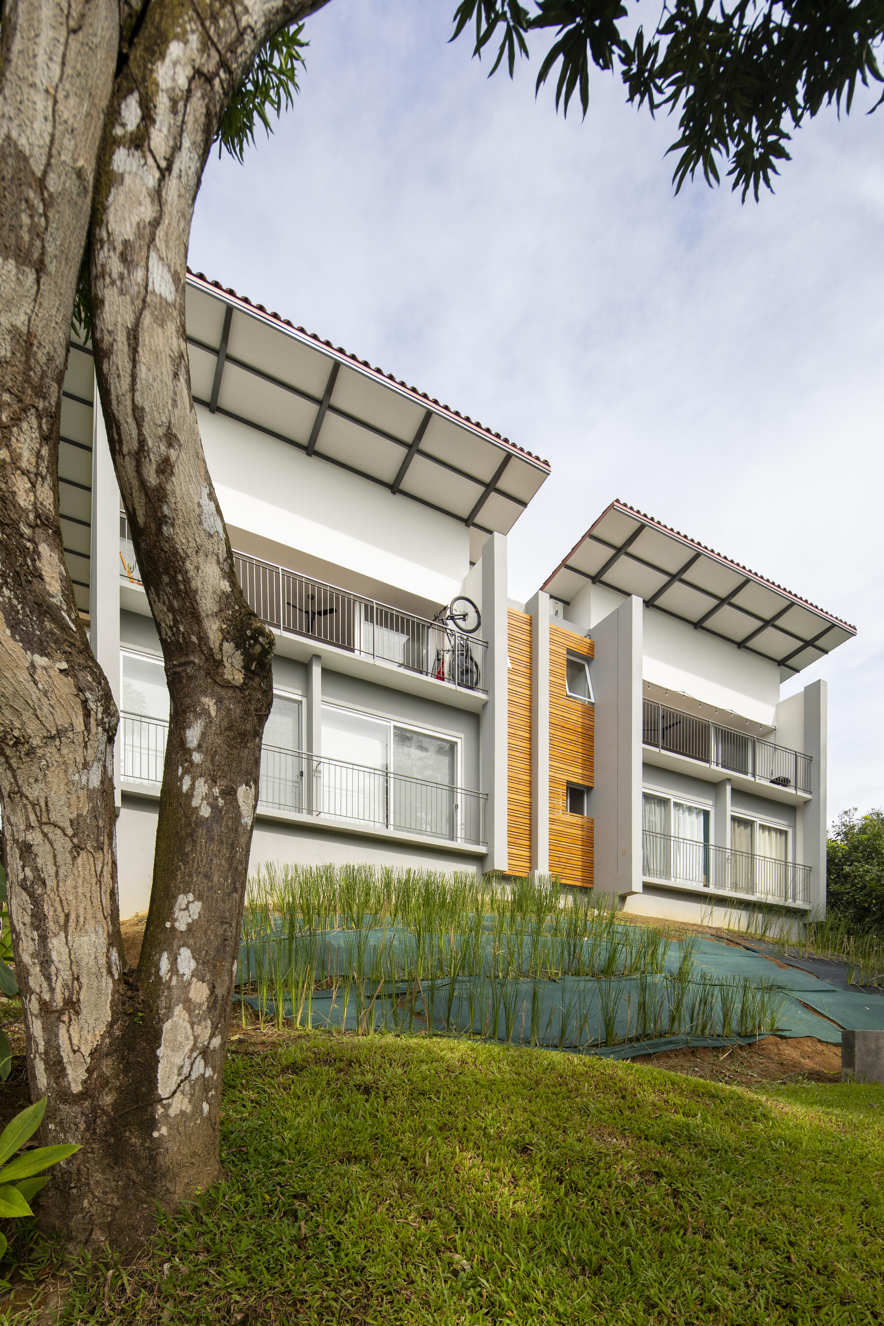Balcony detail with surrounding trees